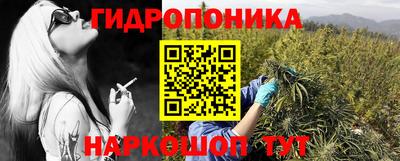 дурь Пенза