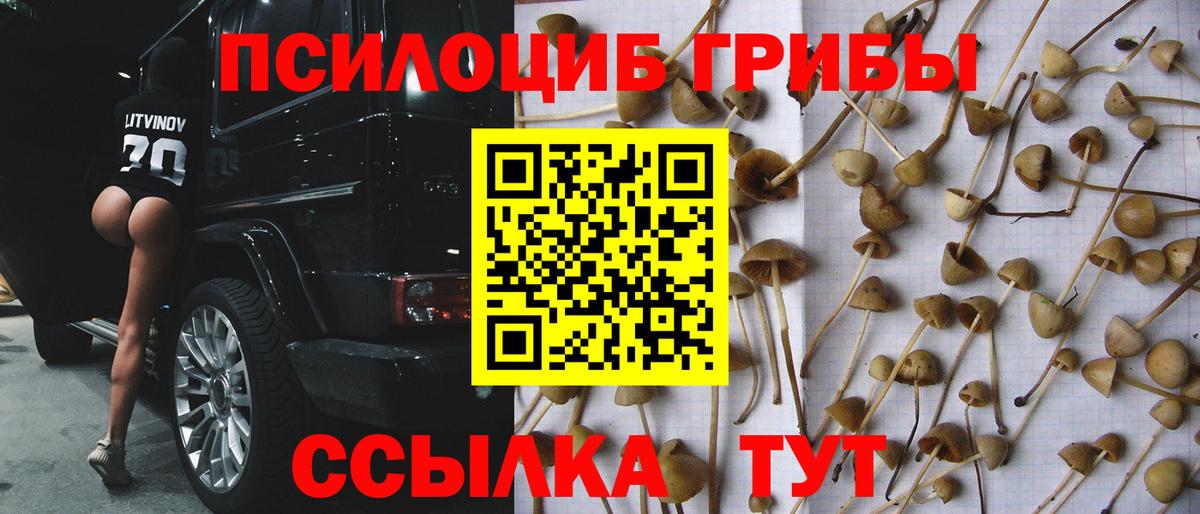 Реж  Псилоцибиновые грибы ЛСД  Вход с VPN 