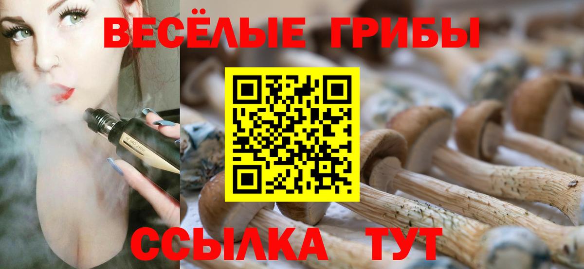 Псилоцибиновые грибы Cubensis Реж